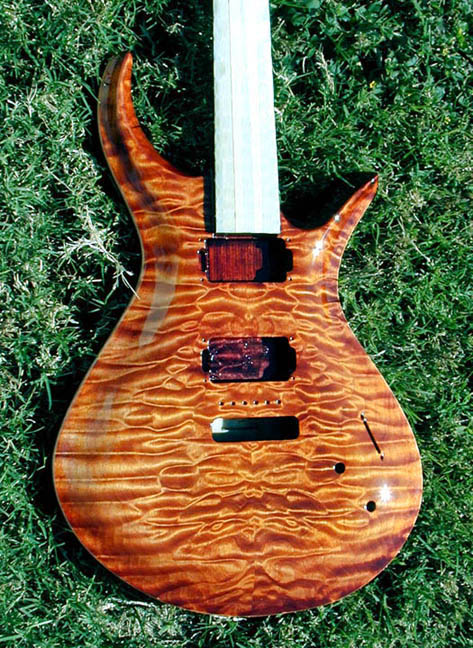 A Driskill Diablo body resting in the grass in daylight